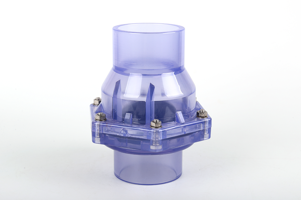 海州透明翻板式止回阀